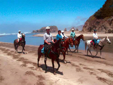 USA-California-Redwood Coast Ride